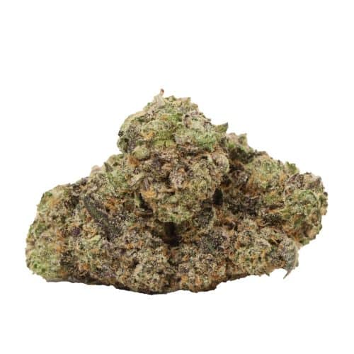 Black Kush strain cannabis