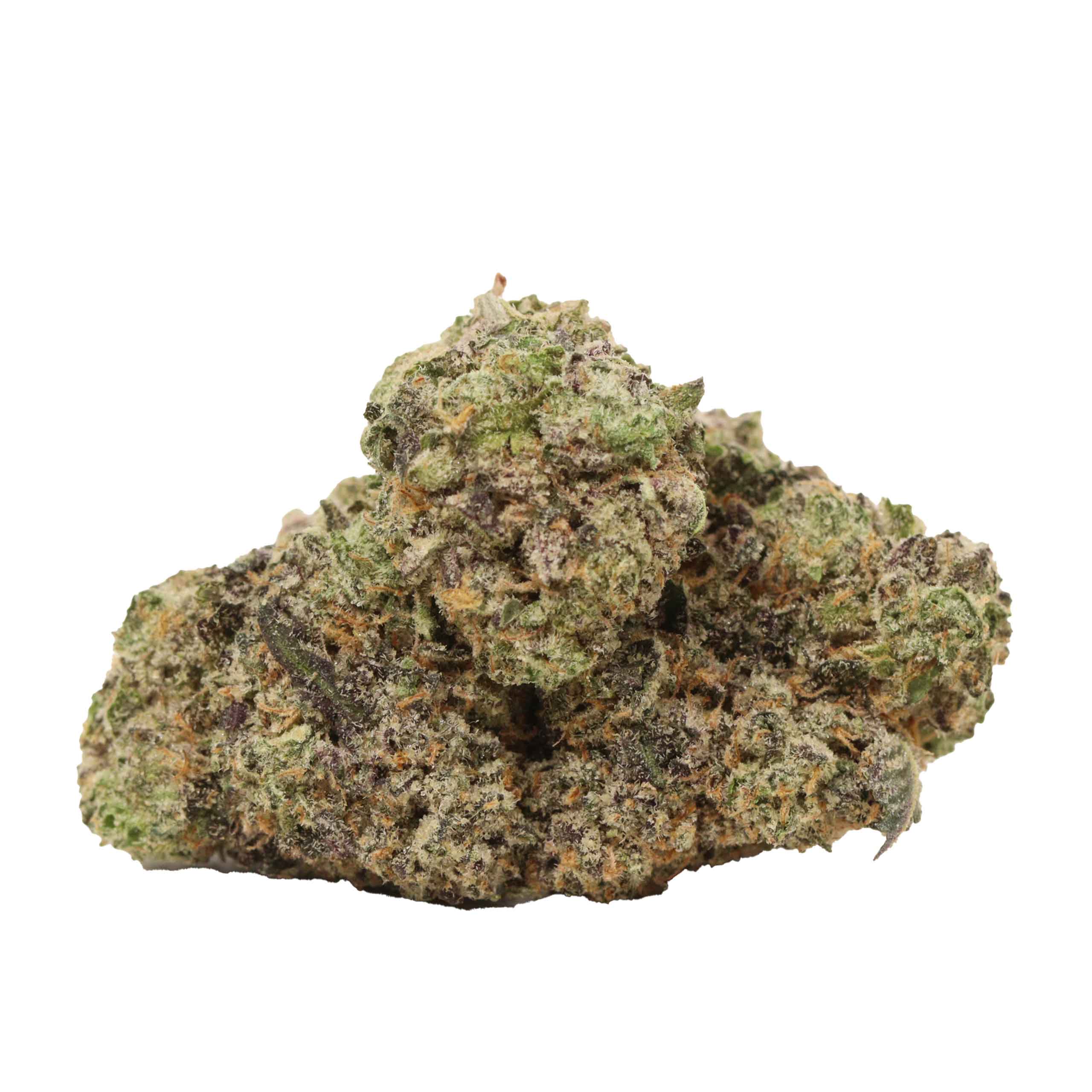 Black Kush strain cannabis