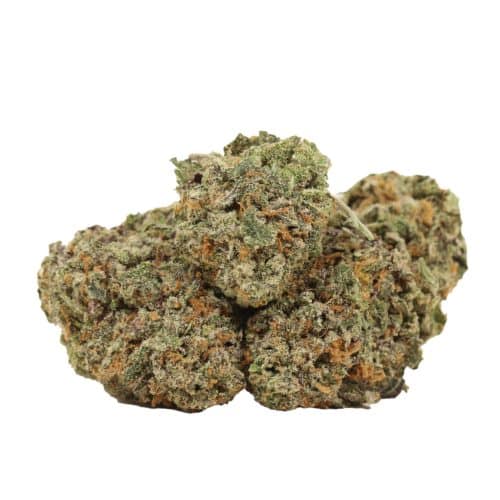Black Widow strain cannabis