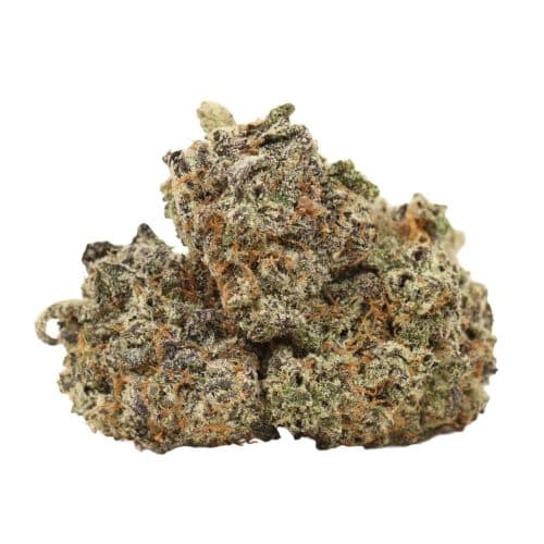 Blue Cheese strain cannabis