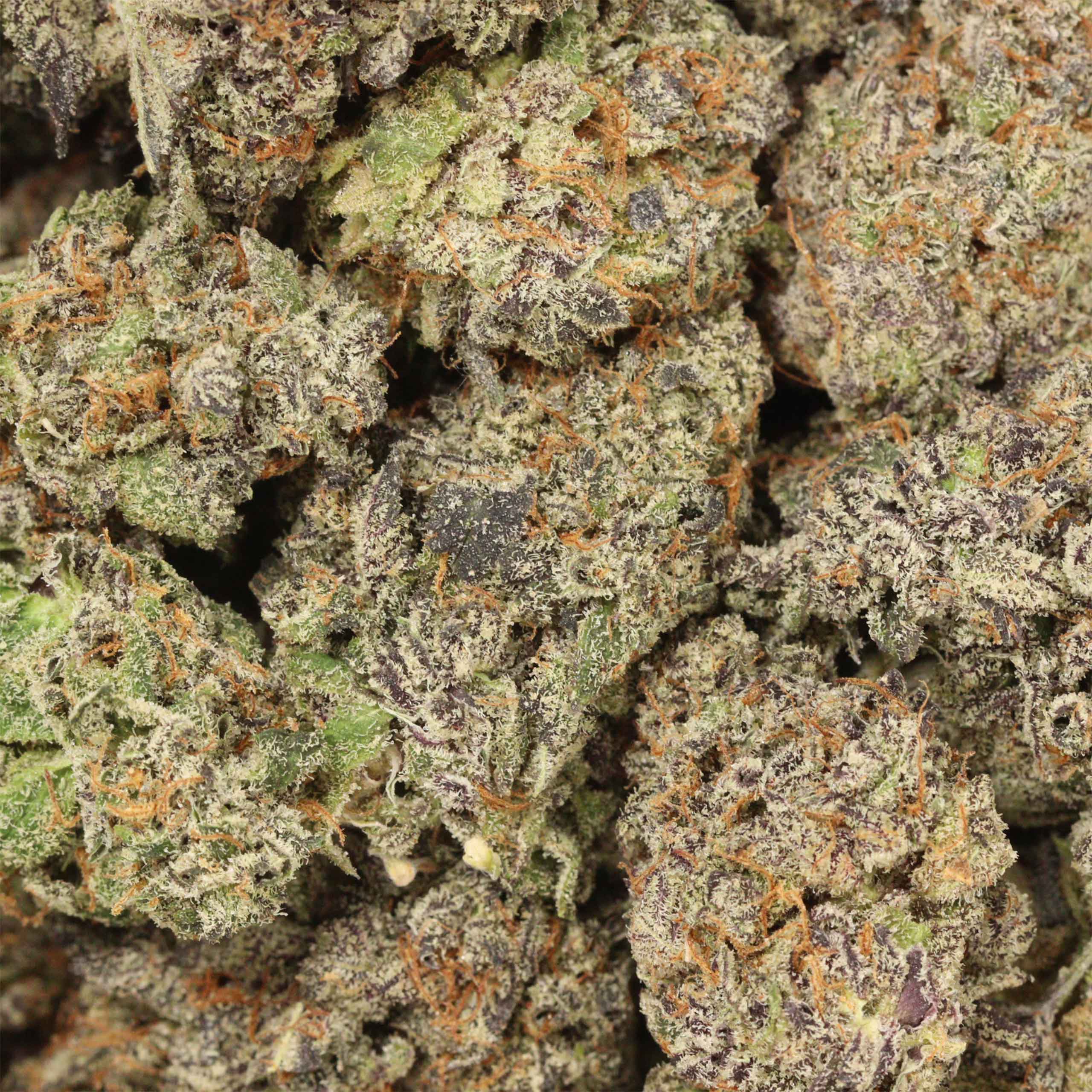 Blue Cheese - Image 3