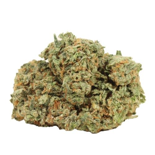 Blue Dream strain cannabis