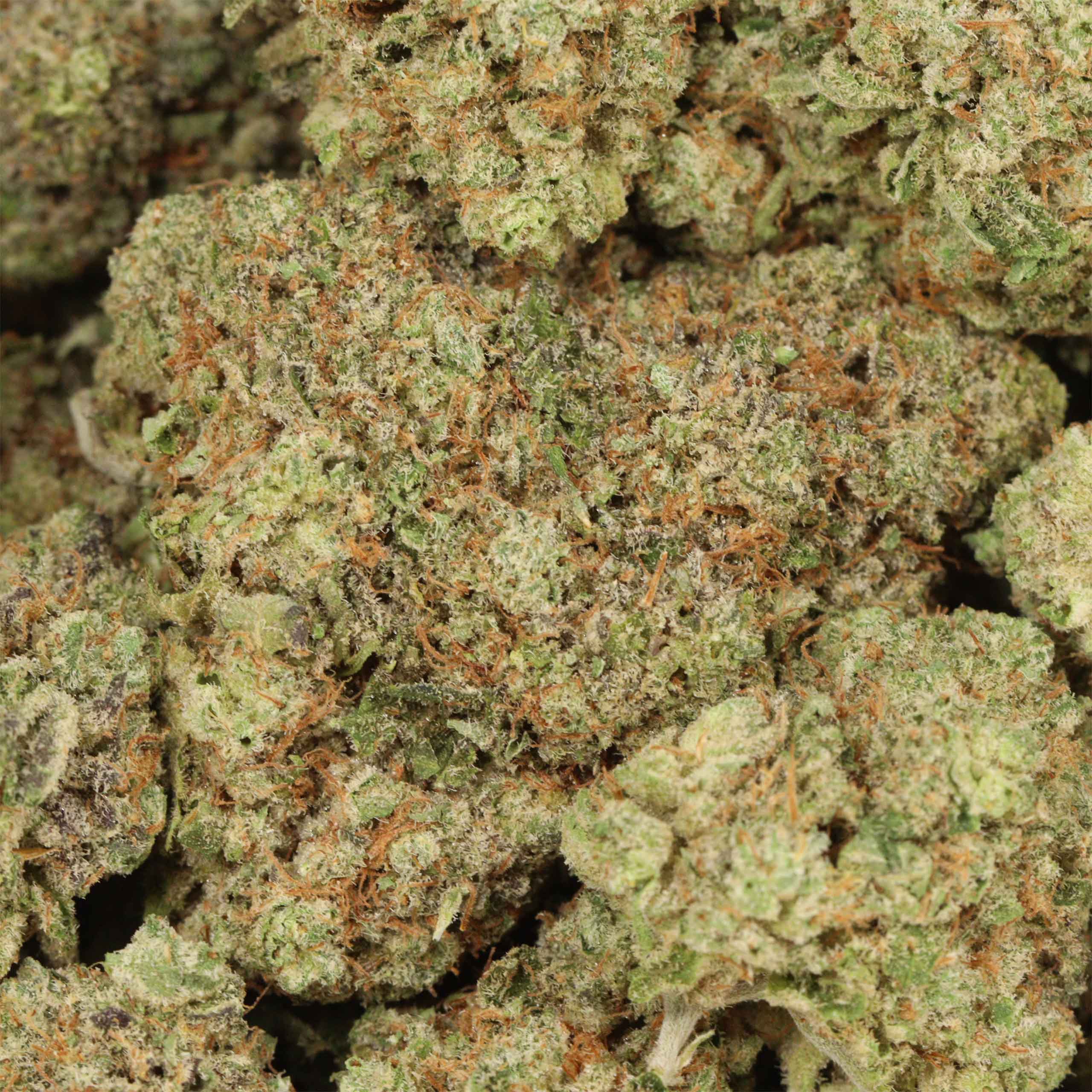 Blue Dream - Image 3