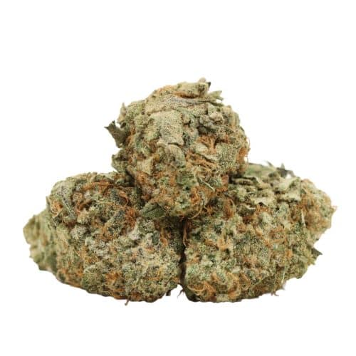 Blue Hawaiian craft strain cannabis