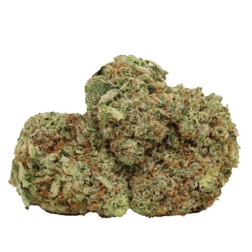 Blue King strain cannabis