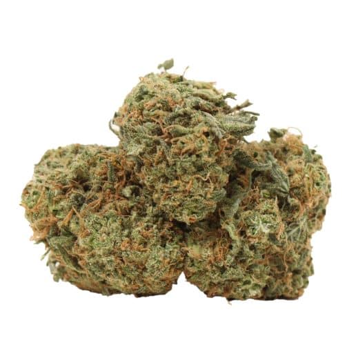Blueberry AK strain cannabis