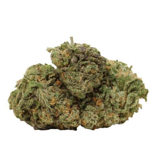 Bruce Banner strain cannabis