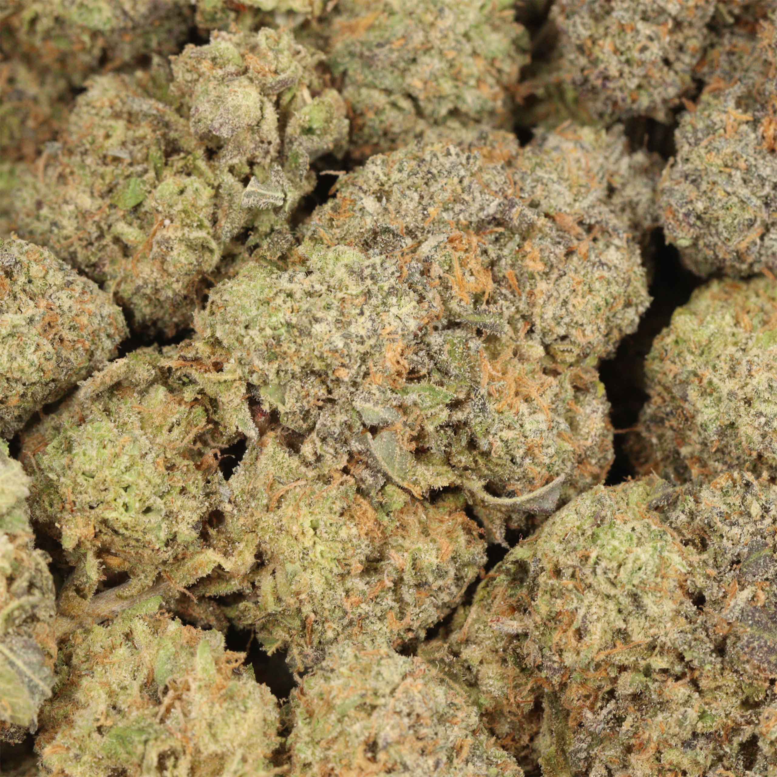 Bruce Banner - Image 3
