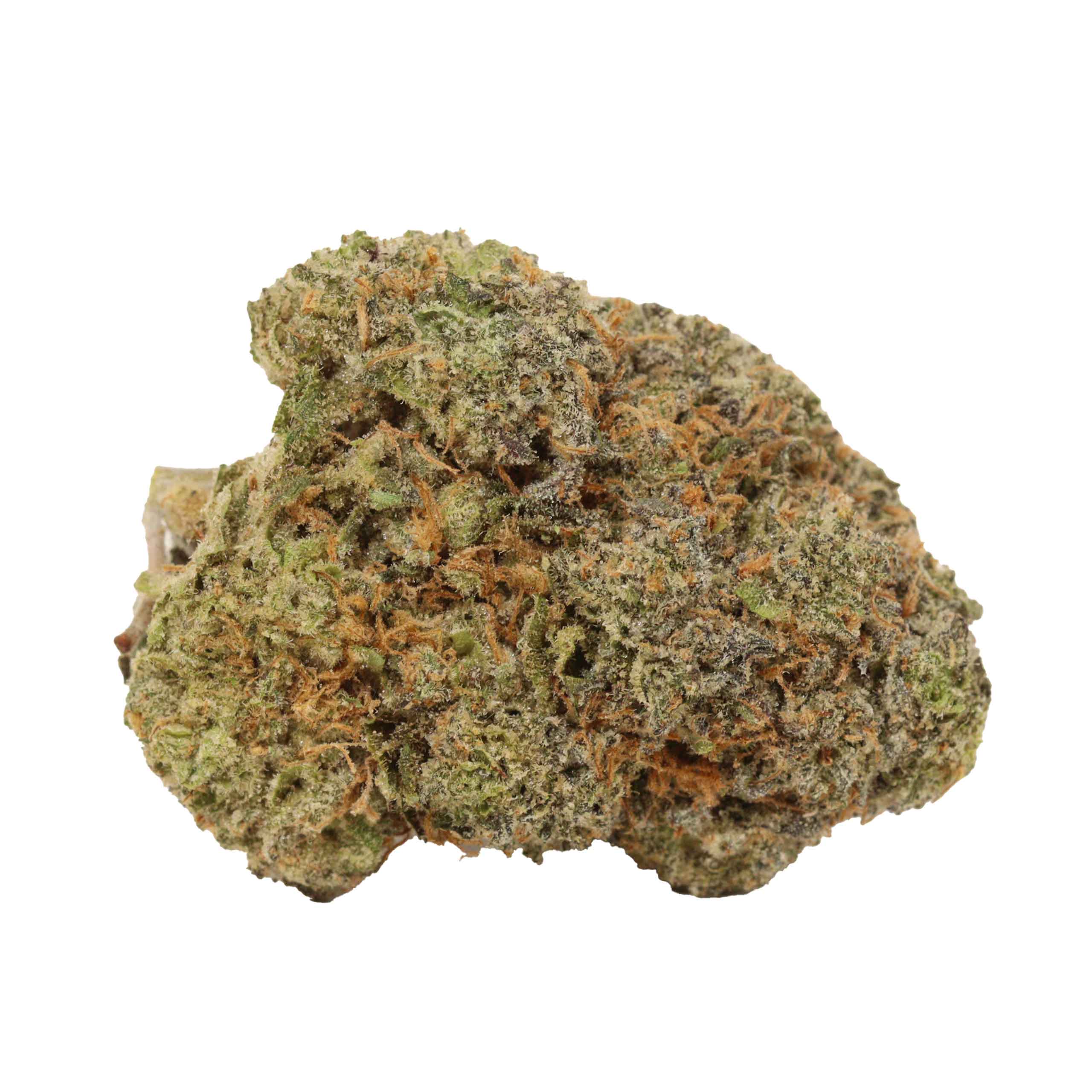 Bruce Banner - Image 2