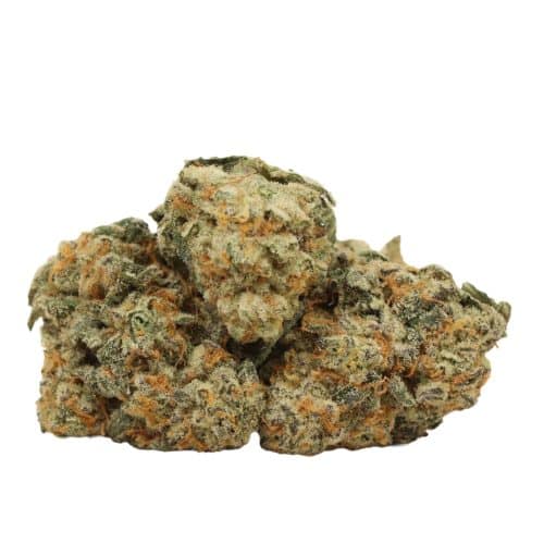 Bubba Cali Kush strain cannabis