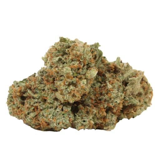 Bubba Fish strain cannabis