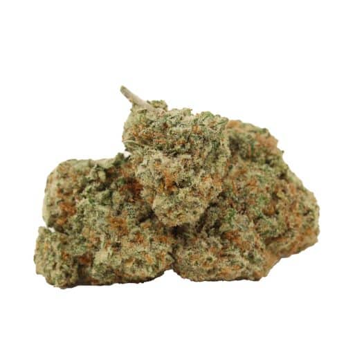 Candyland strain cannabis