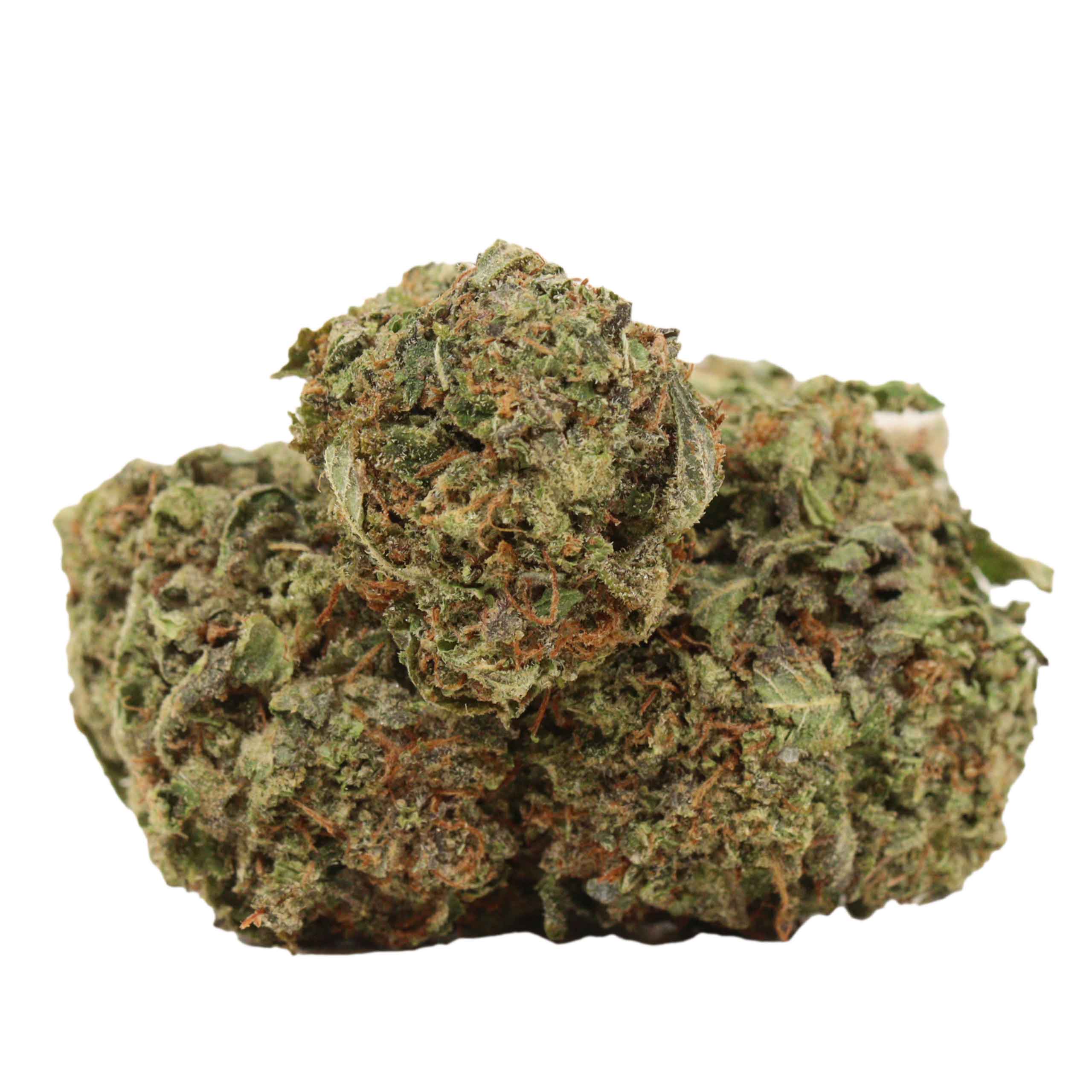 Cartel Kush strain cannabis