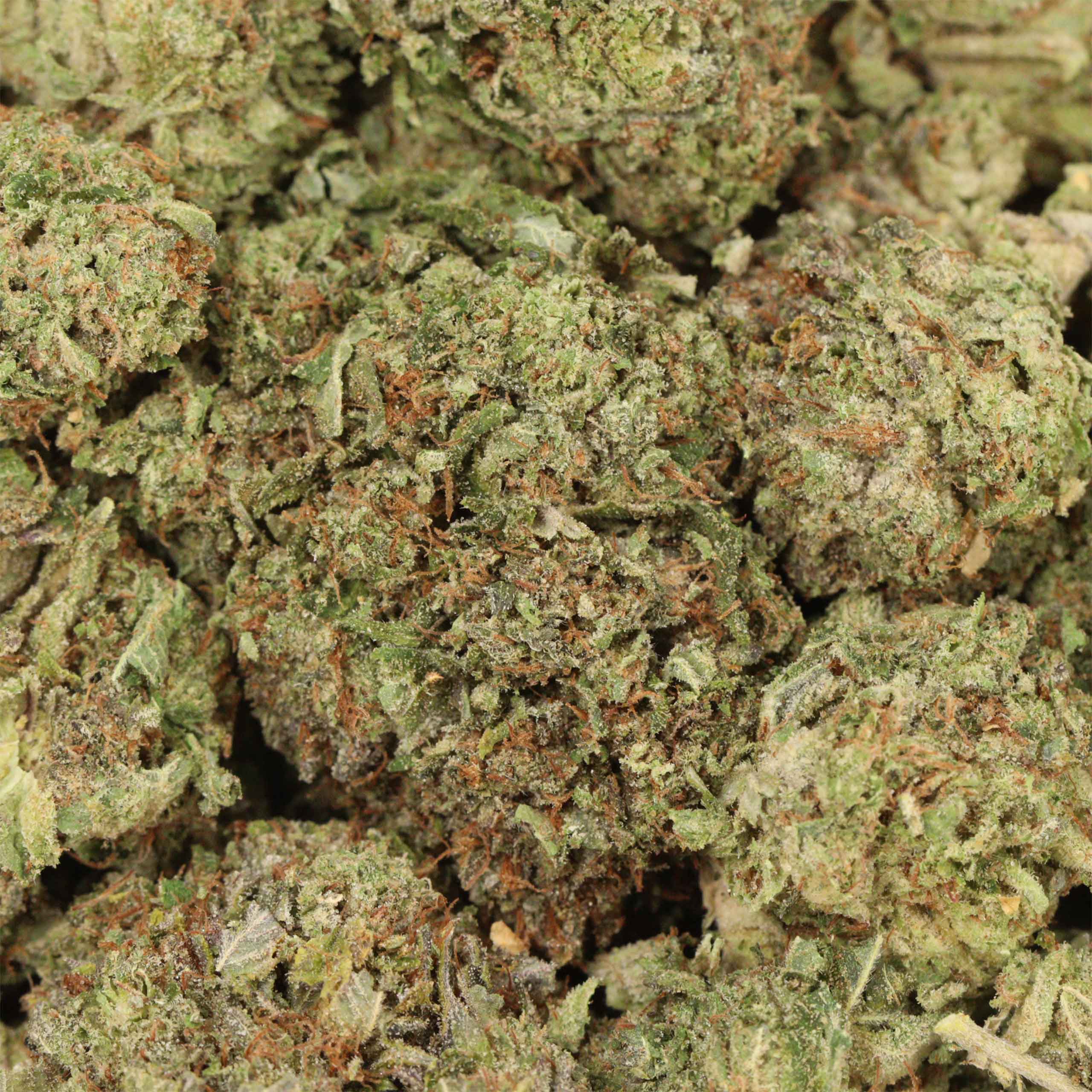 Cartel Kush - Image 3