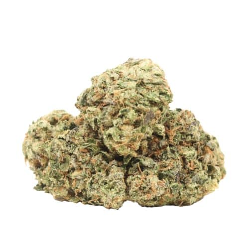 Caviar Pink Kush strain cannabis
