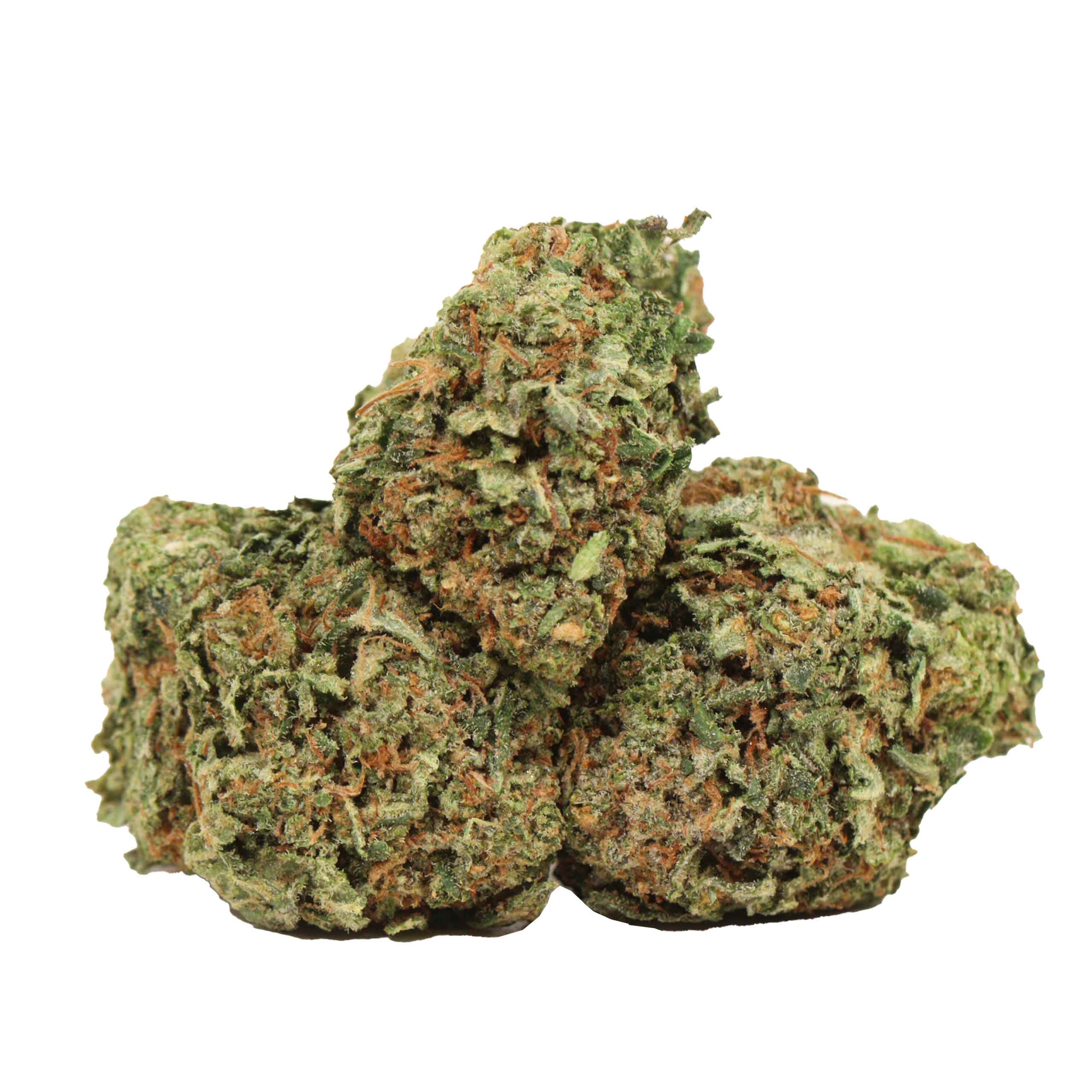 Caviar Pink Kush strain cannabis