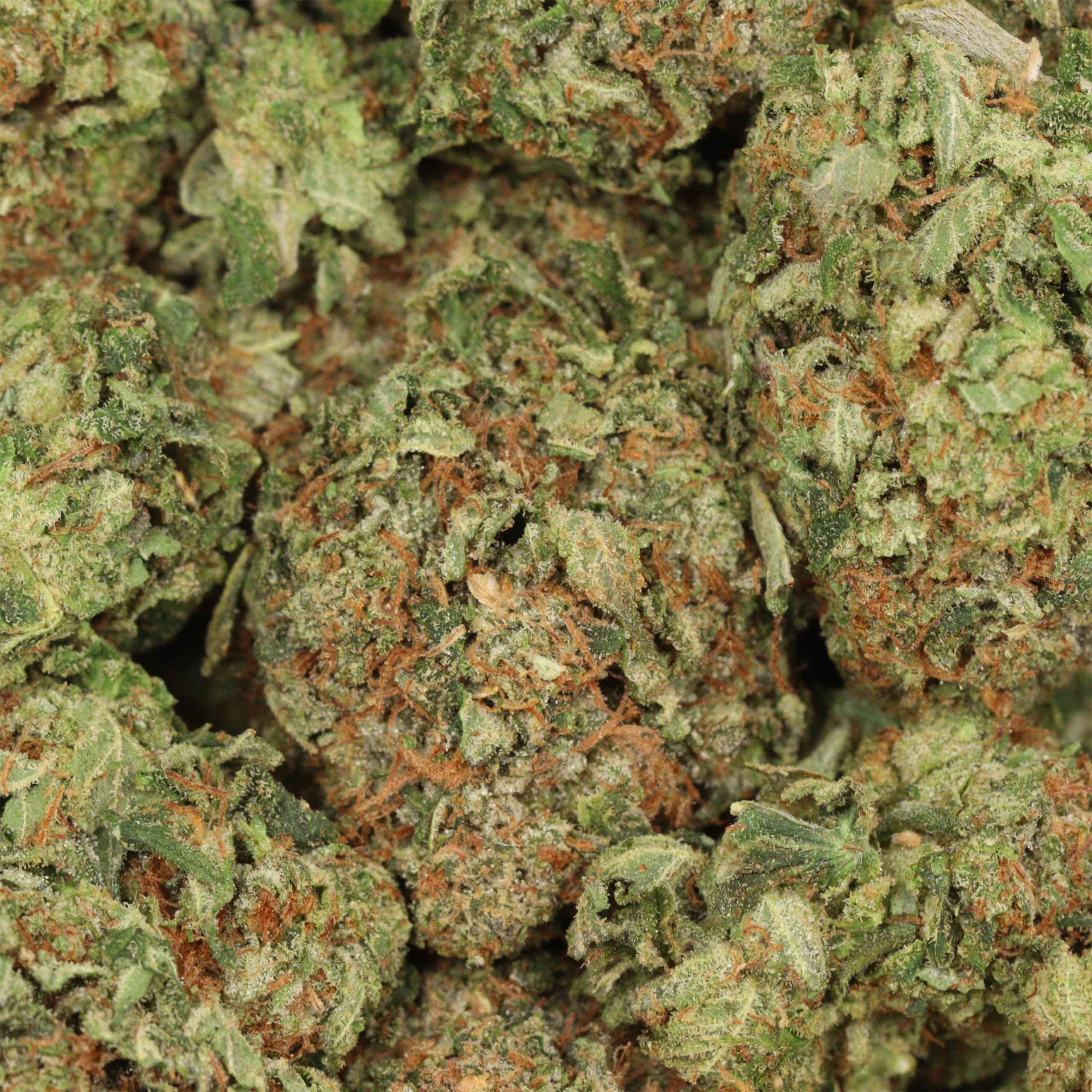 Caviar Pink Kush - Image 3