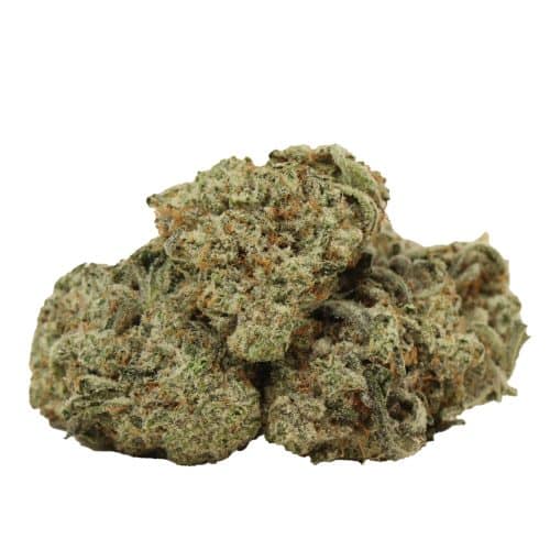 chemo kush strain cannabis
