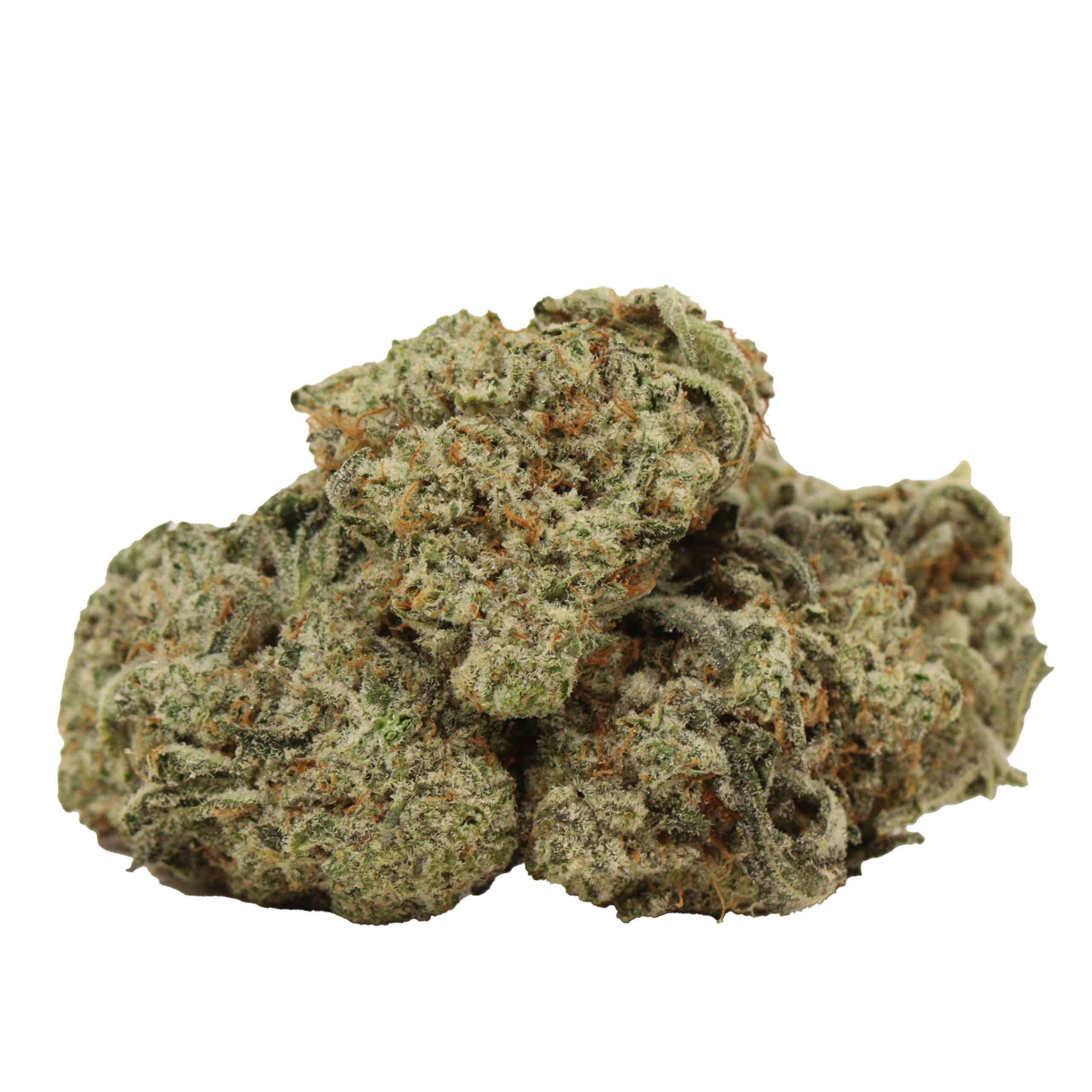 chemo kush strain cannabis