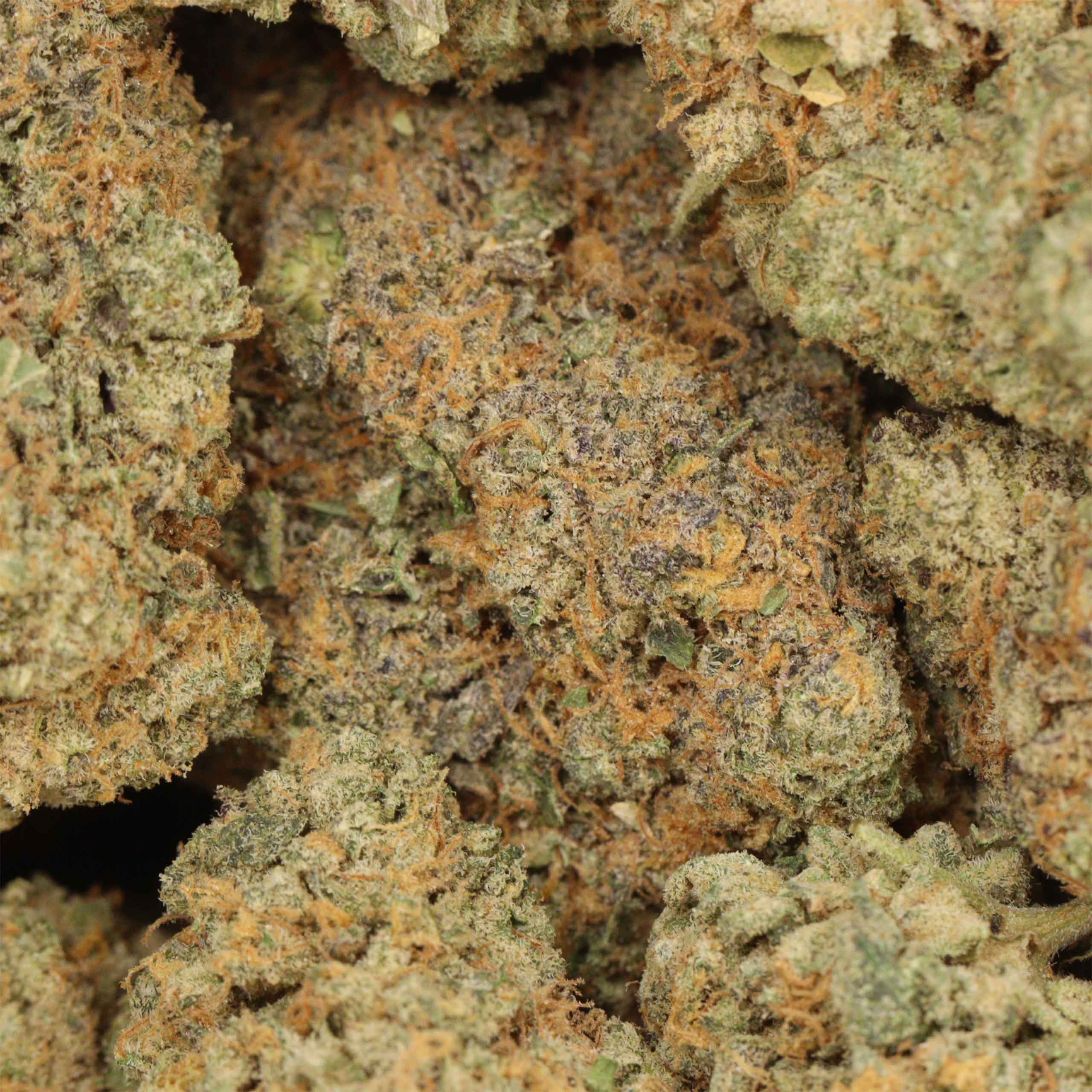 Chemo Kush - Image 3
