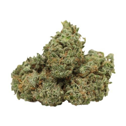 cherry dog strain cannabis