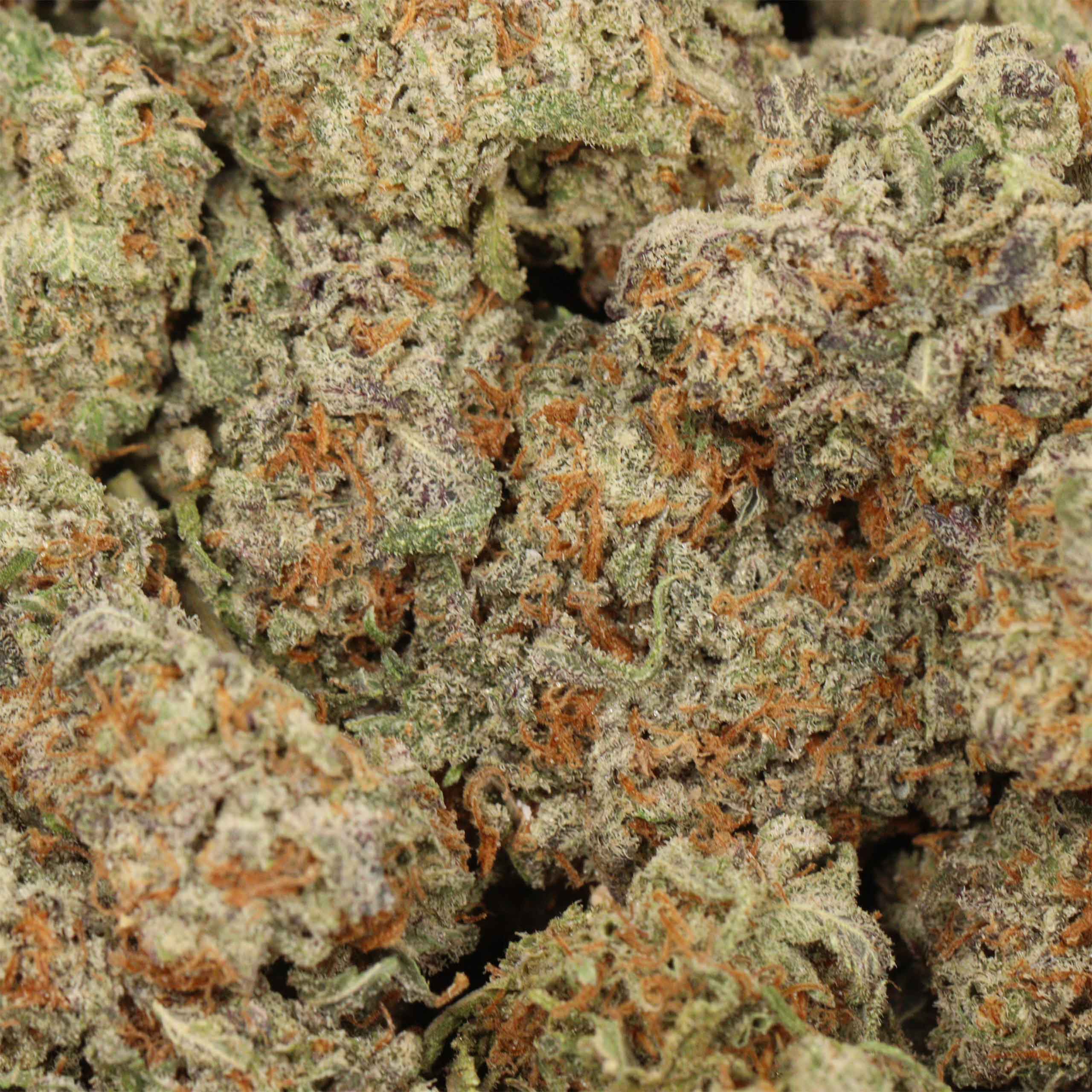 Chocolate Kush - Image 3