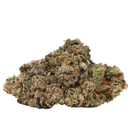 Coma Kush strain cannabis