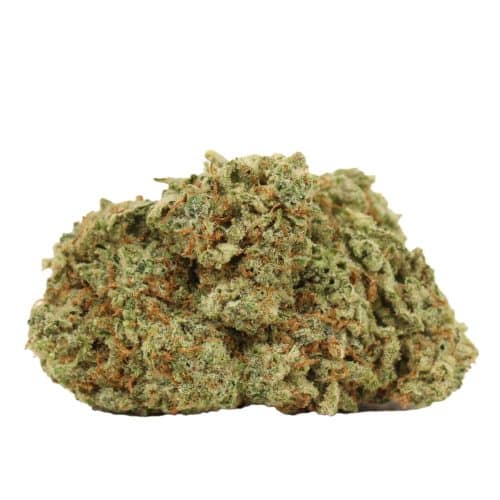 Dairy Queen strain cannabis