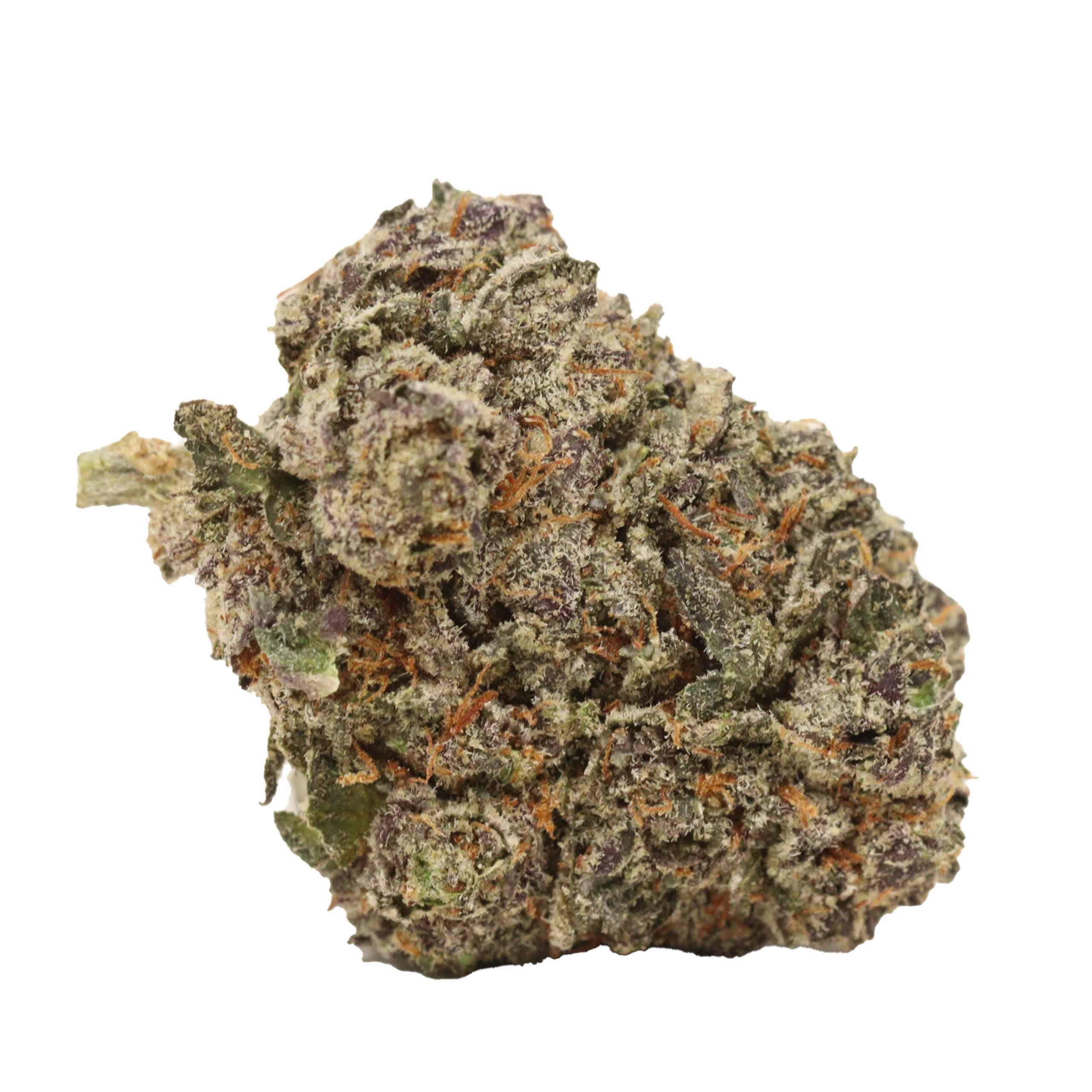 Dank Sinatra - Image 2