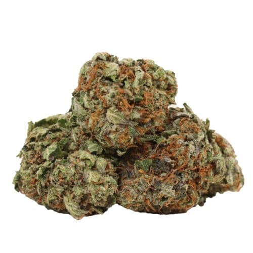 Death Gas strains cannabis