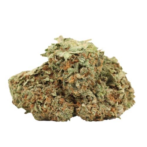 Dior Death Bubba strain cannabis