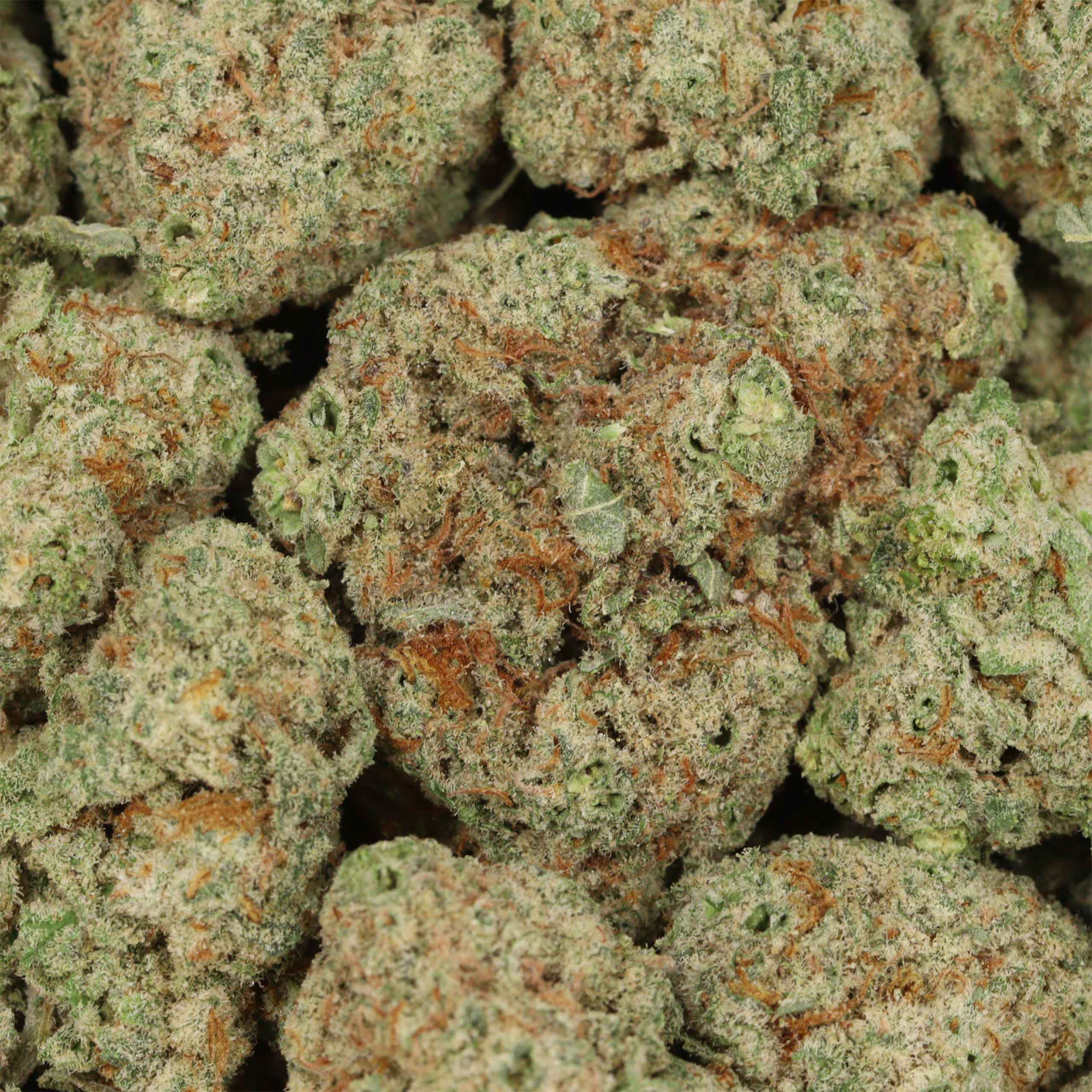 Dirty Mac - Image 3