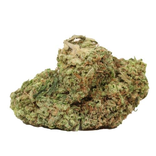 Do Si Do strain cannabis