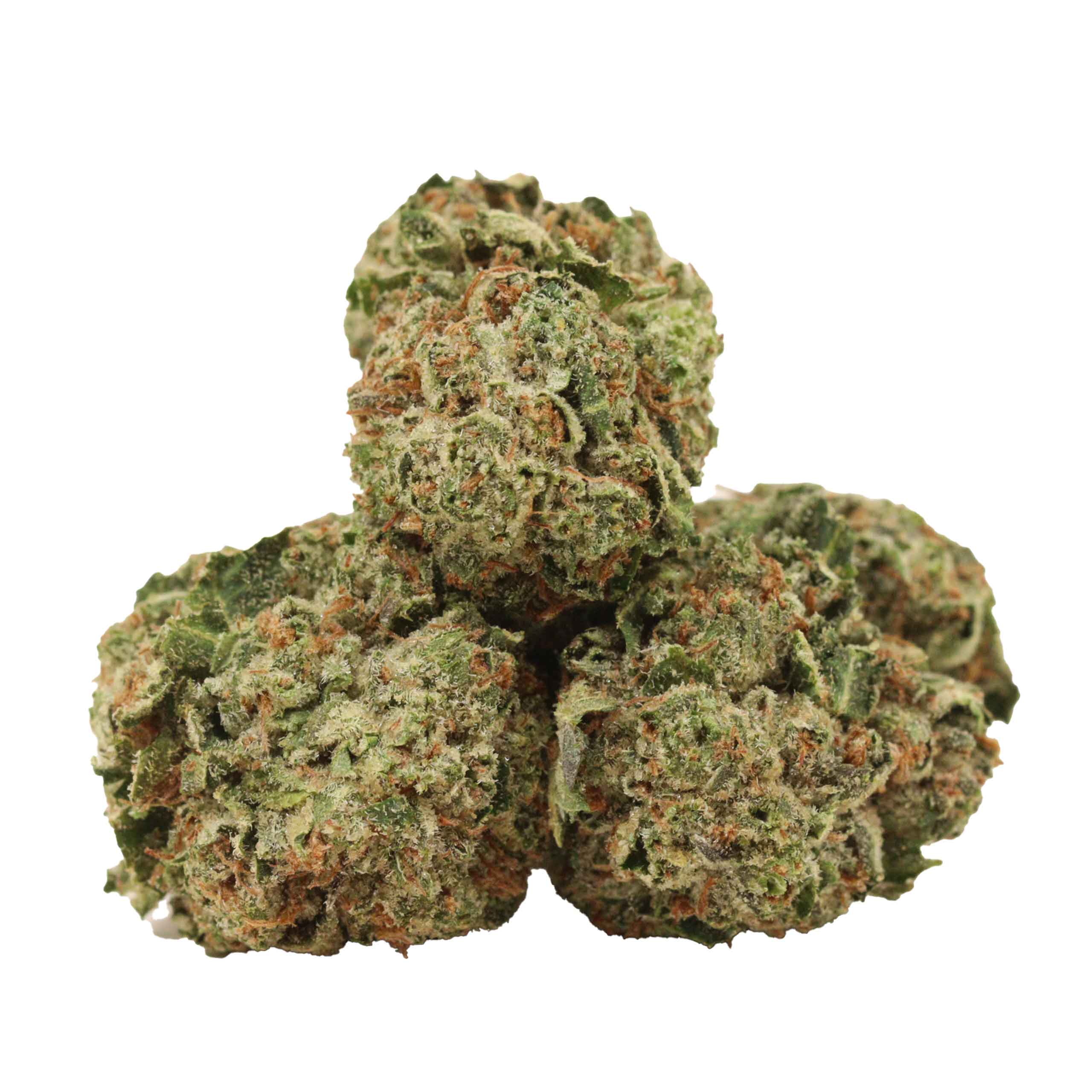 EL Chapo strain cannabis