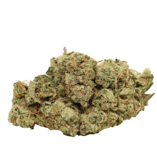 Fruit Loops strain cannabis