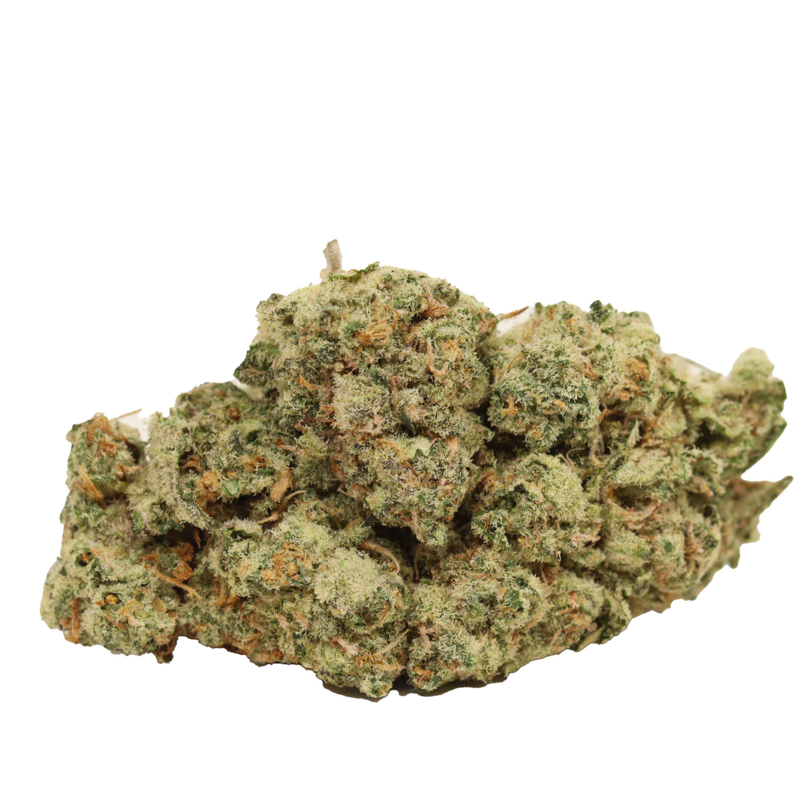 Fruit Loops strain cannabis