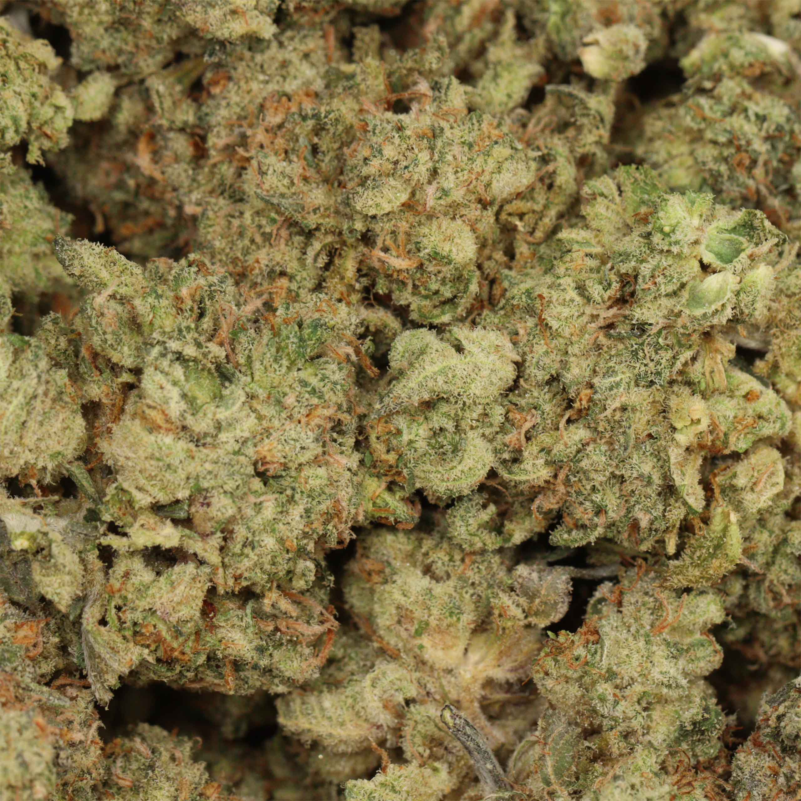 Fruit Loops - Image 3