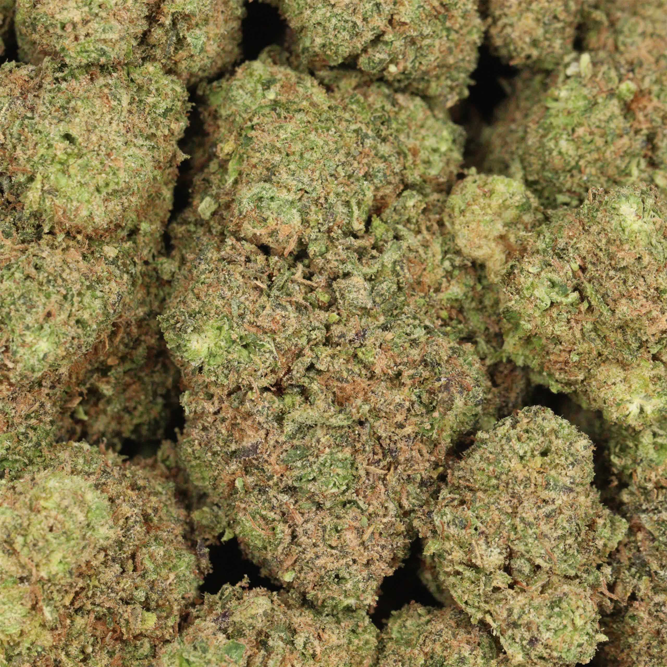 Gelato #33 - Image 3