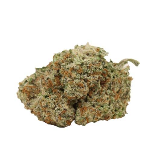Girl Scout Cookies strain cannabis
