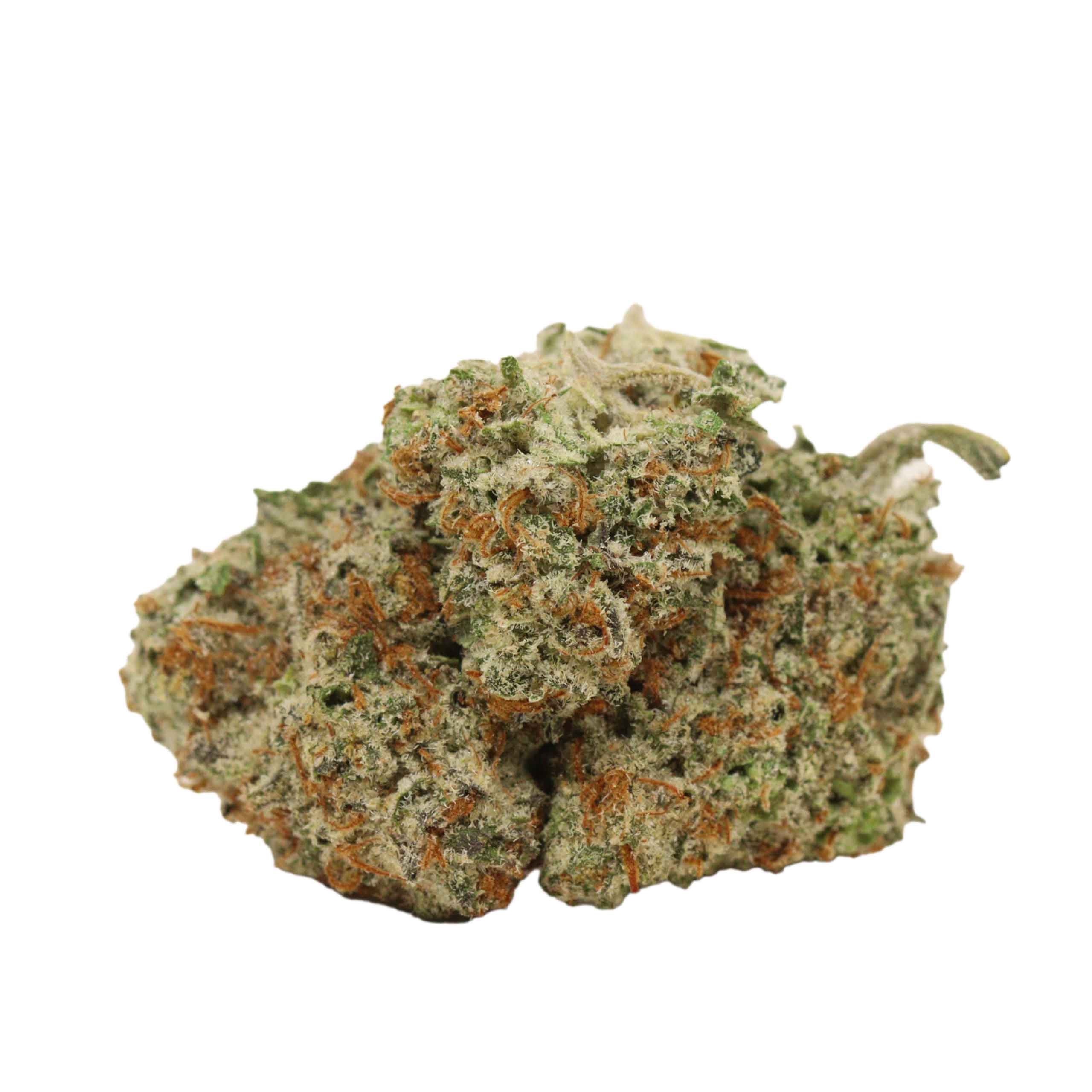 Girl Scout Cookies strain cannabis