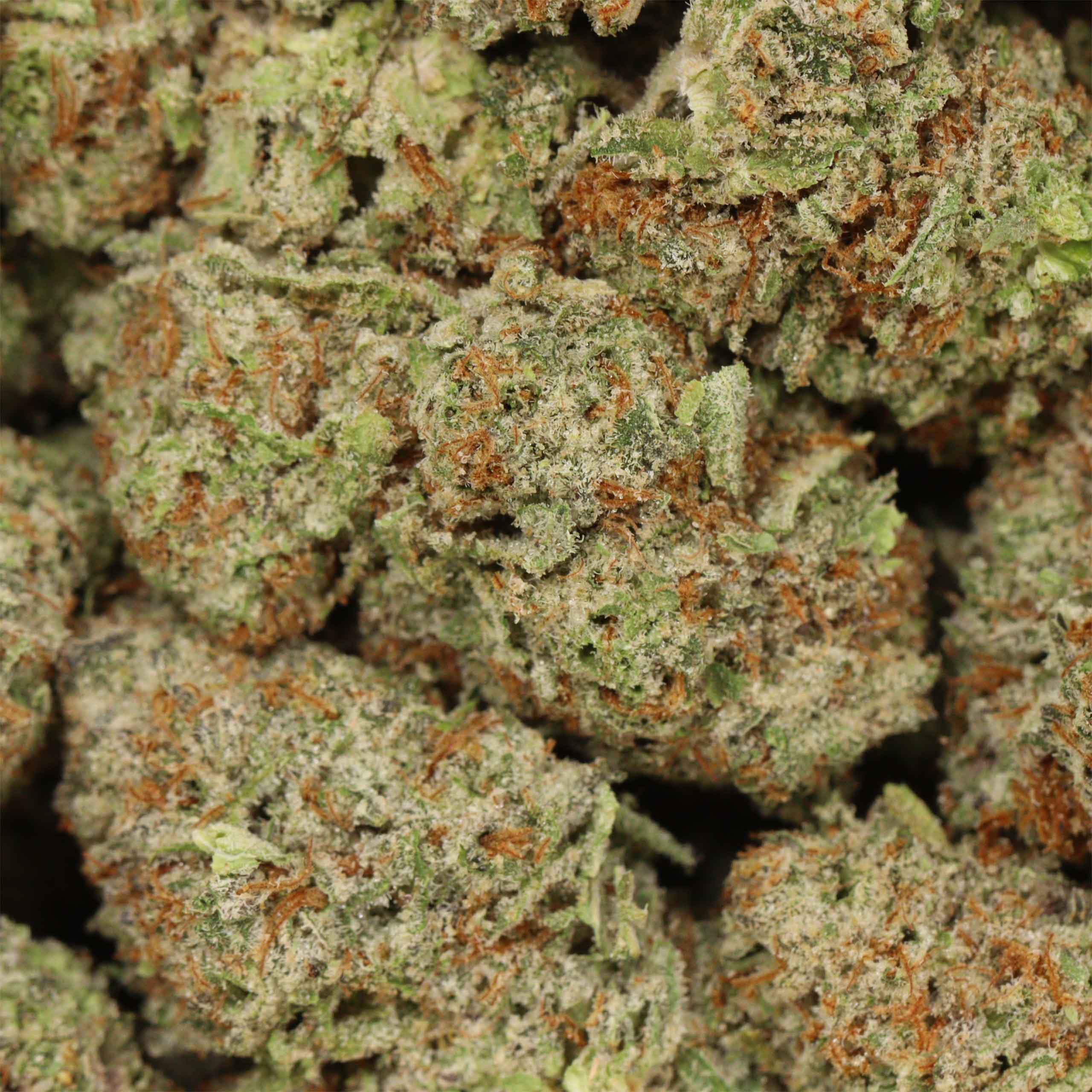 Girl Scout Cookies - Image 3