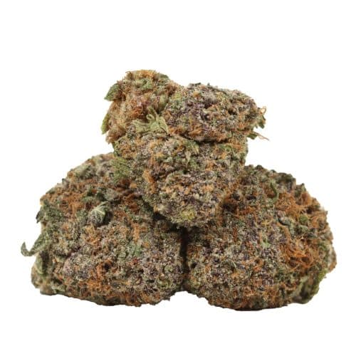 God's Green Crack strain cannabis