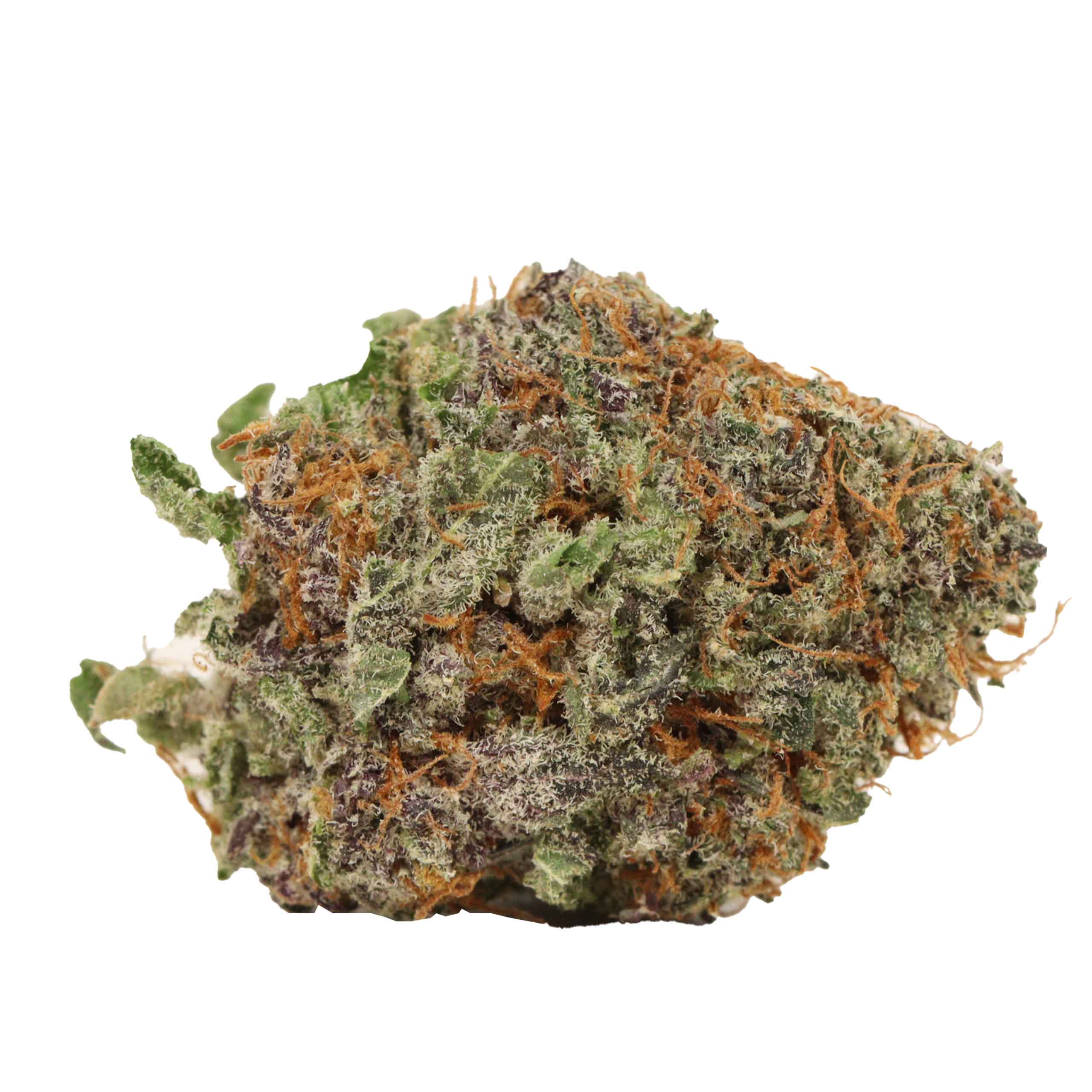 Grand Daddy Purple - Image 2
