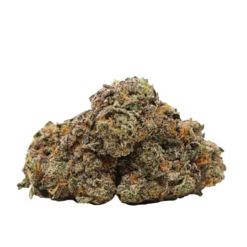 Grape Krush strain cannabis