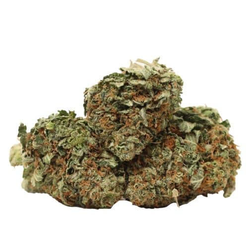 Hydro Death Bubba strain cannabis