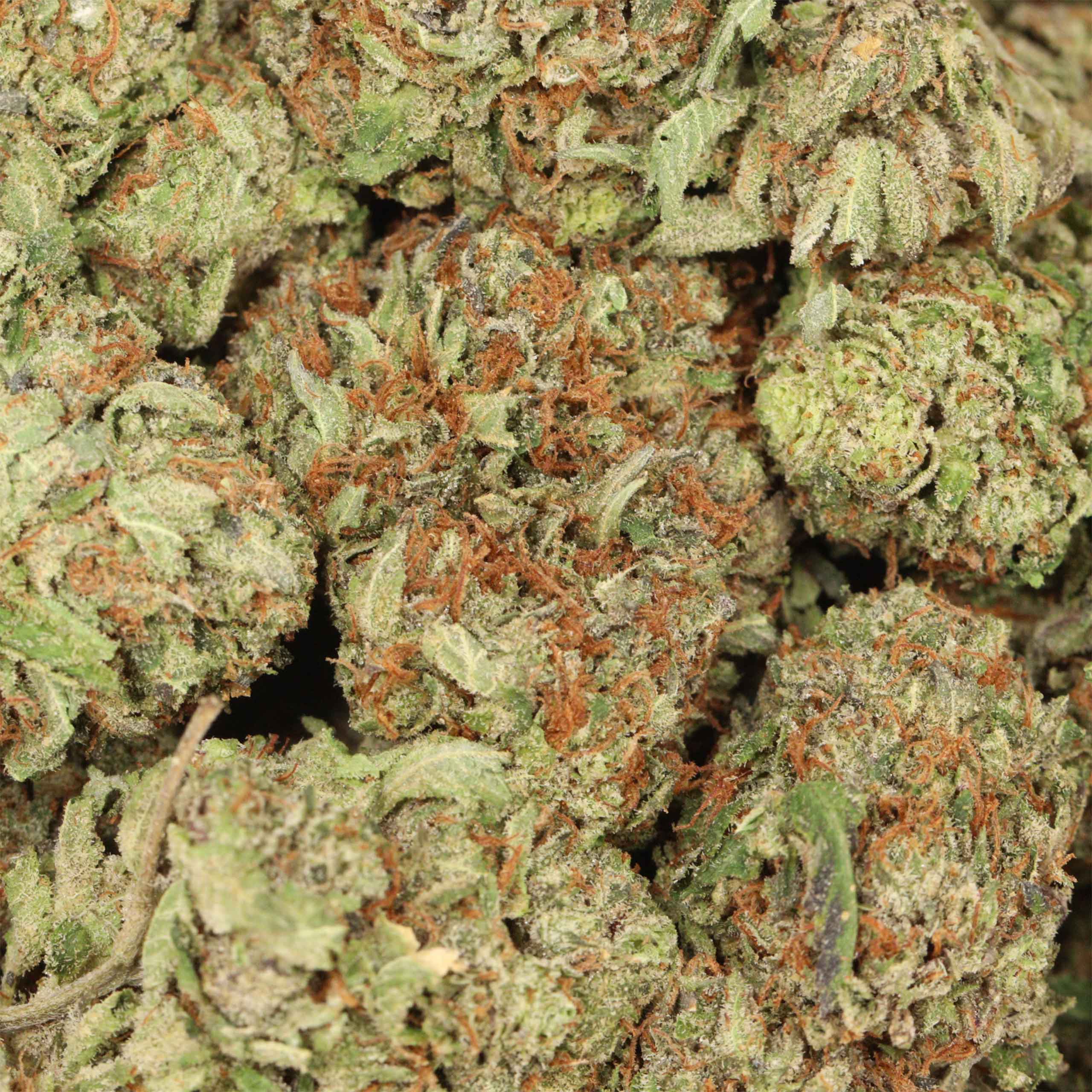 Hydro Death Bubba - Image 3