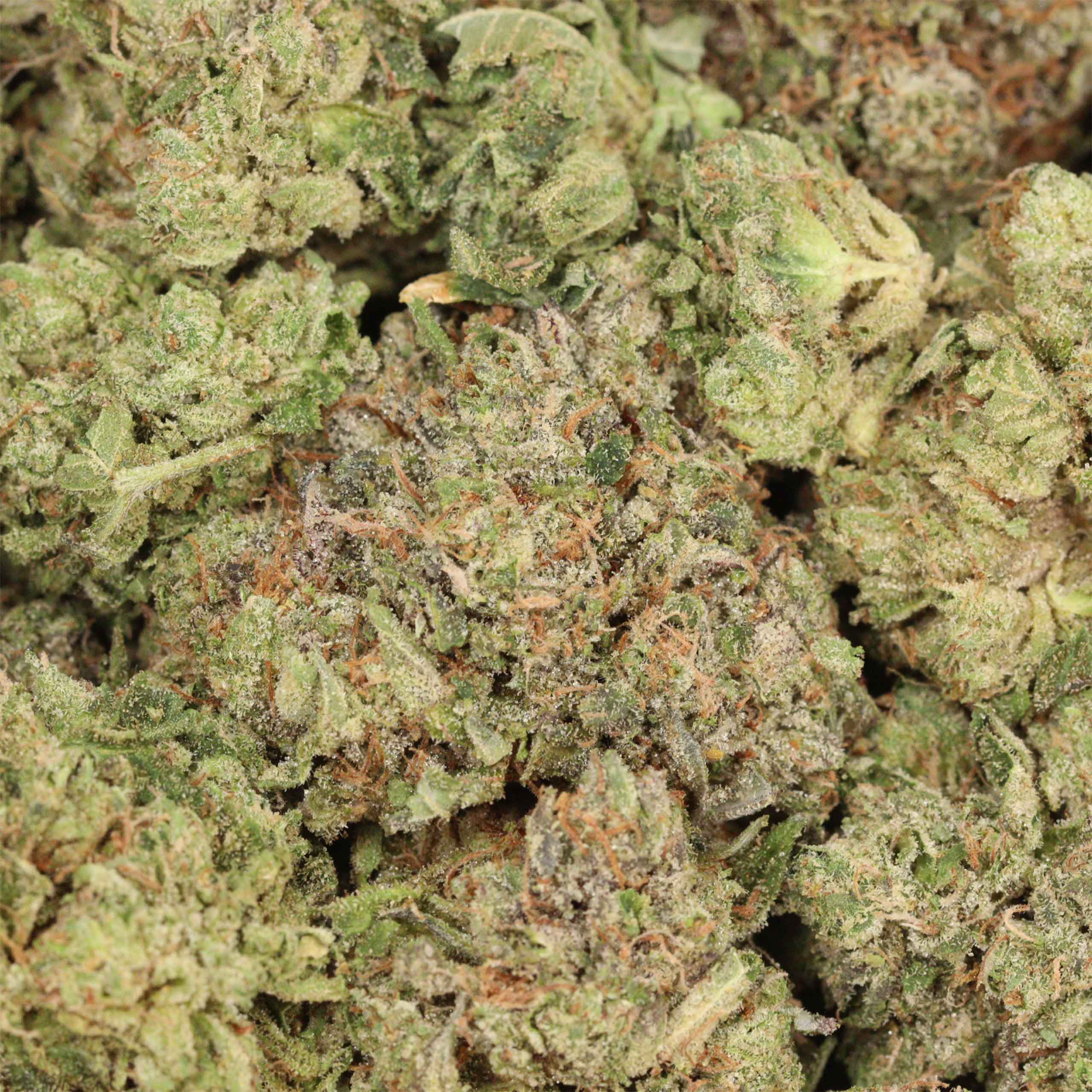 Hydro Pink Kush - Image 3
