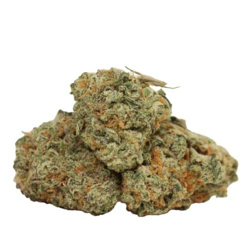 Ice Wine strain cannabis