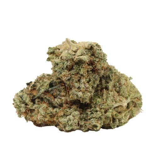 jet fuel strain cannabis