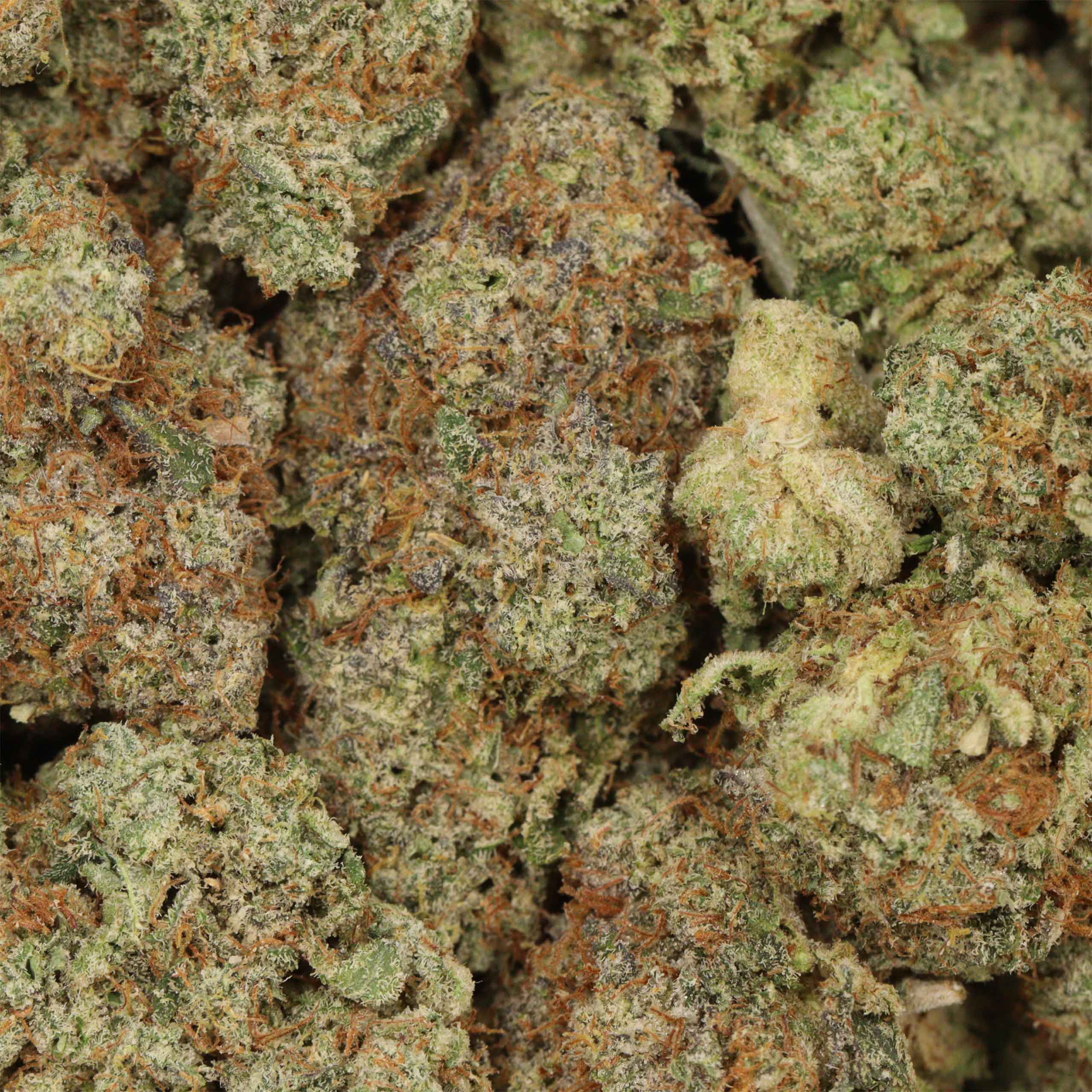Jet Fuel - Image 3